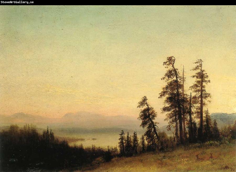 Albert Bierstadt Landscape with Deer